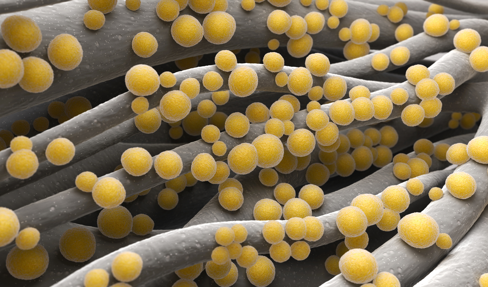 The Effects Of Cannabis On Antibiotic-Resistant Bacterial Infections