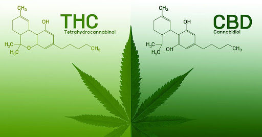 A part with the letters THC and its molecular formula and the other part with the letters CBD and its molecular formula