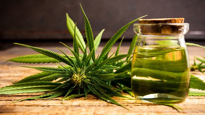 Effects Of CBD In The Brain And Body