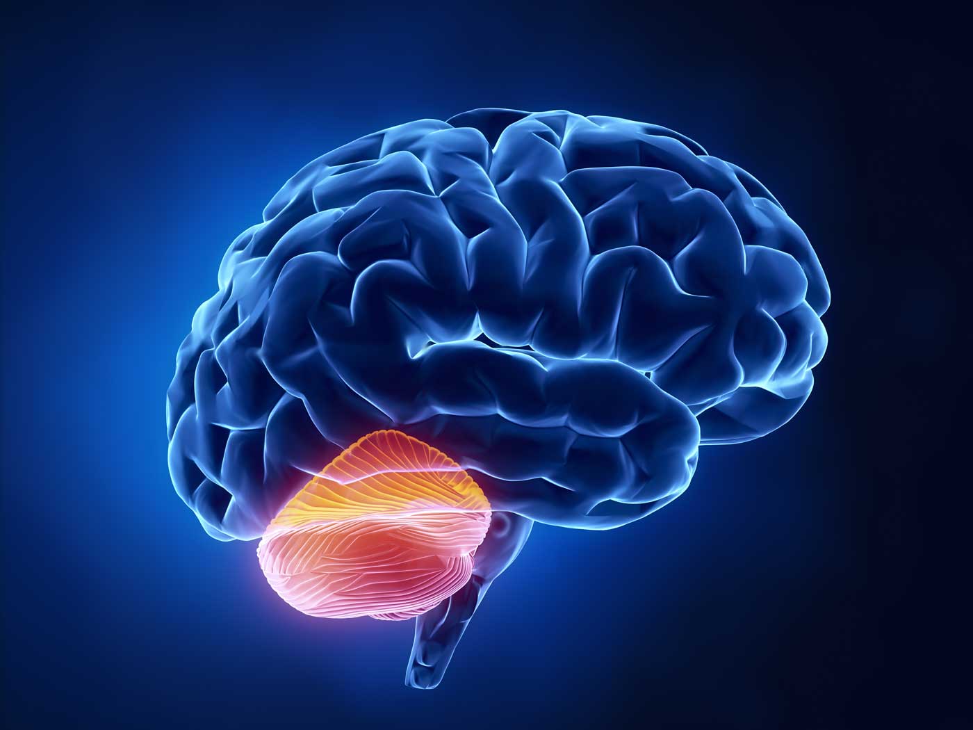 An animated picture of a brain in blue background