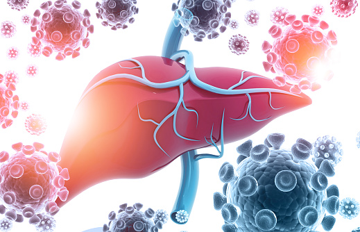 Coronavirus Effects On The Liver – COVID And Liver Symptoms