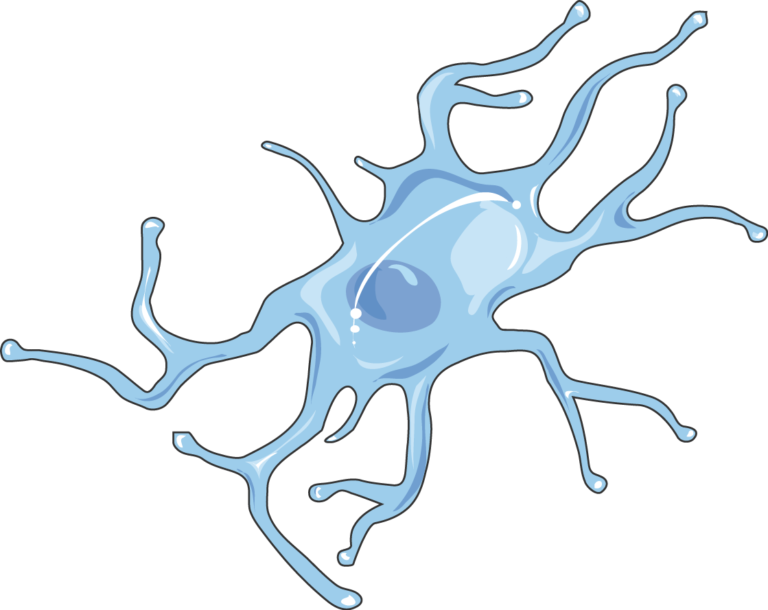 Microglia Activation - Its Effectiveness On Traumatic Brain Injury