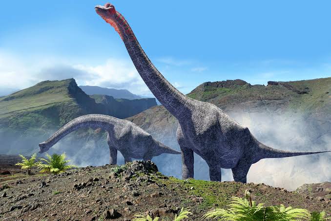 The Largest Dinosaur Skeleton Ever Has Been Discovered In A Portugal Man’s Backyard