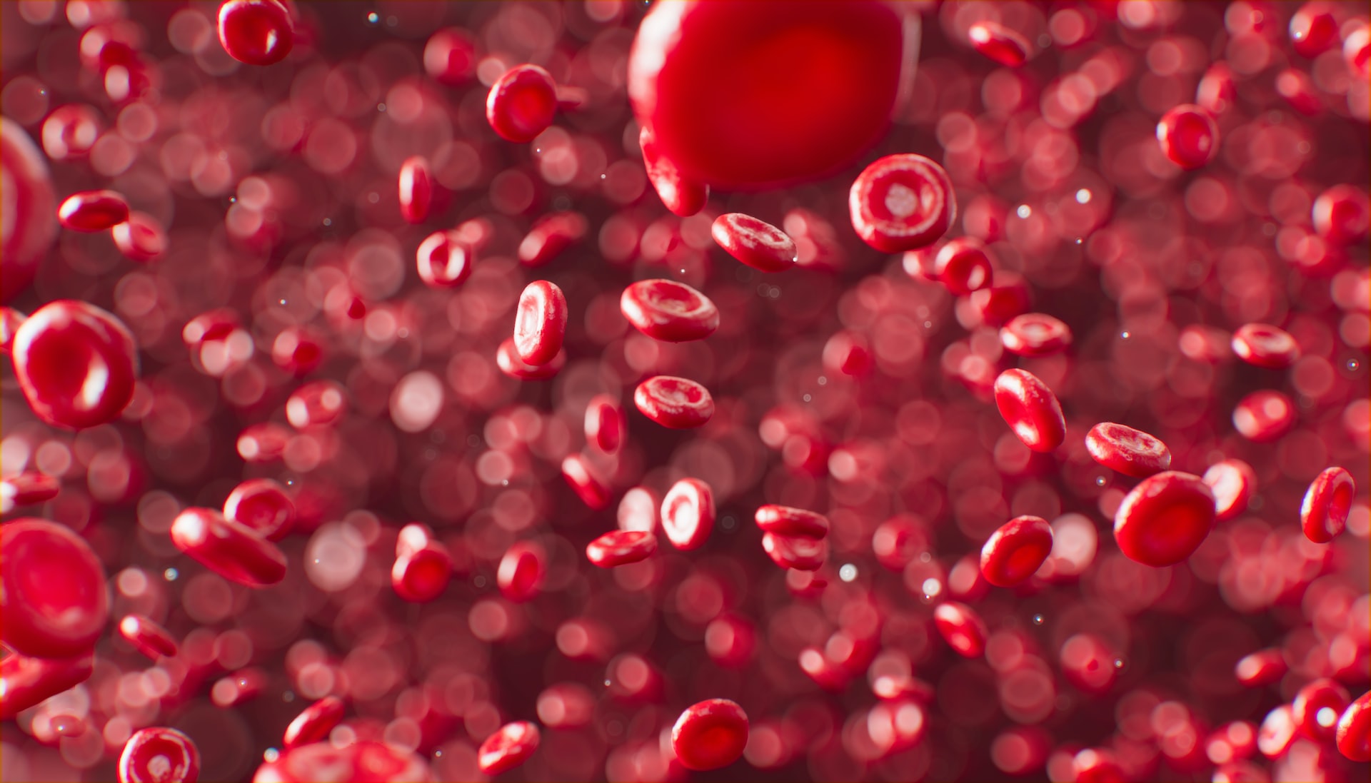 Red Blood Cells In The Human Body