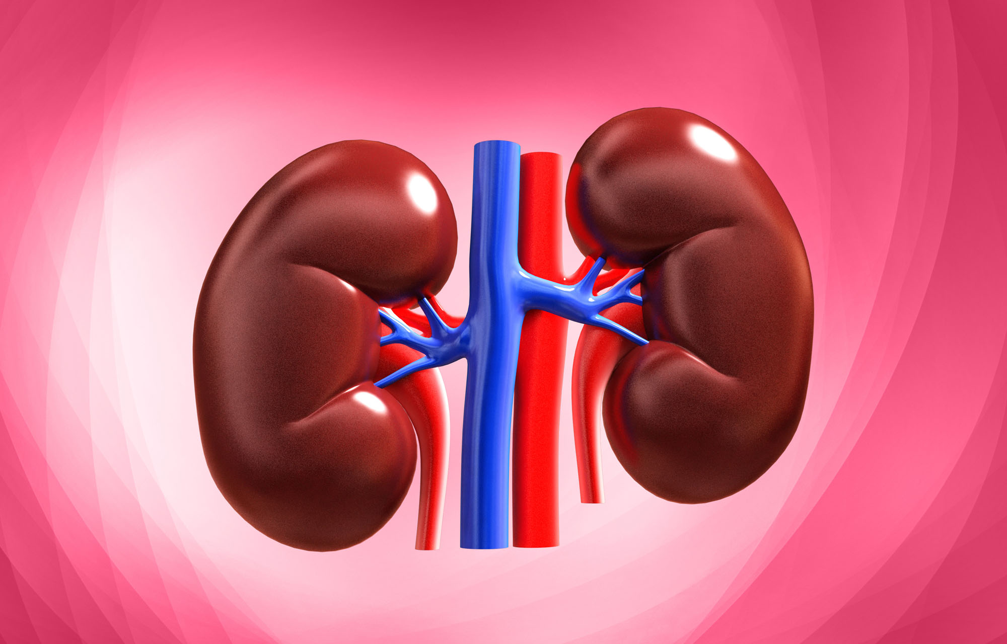 Aryl Hydrocarbon Receptor - How Does It Affect Chronic Kidney Disease?