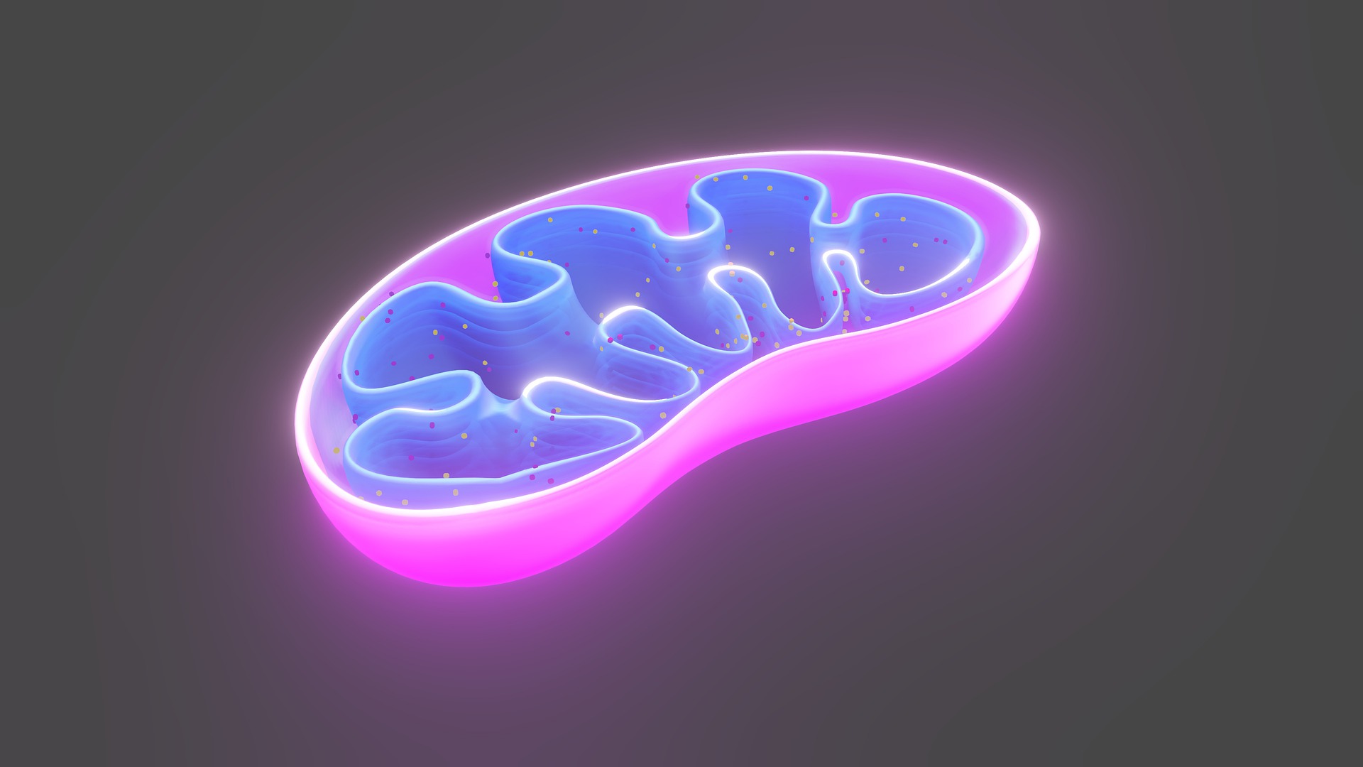 Mitochondrial Dysfunction In Cancer – Overview Of Its Importance