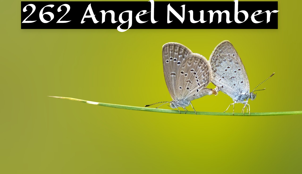 262 Angel Number Meaning - Growing Together With Family
