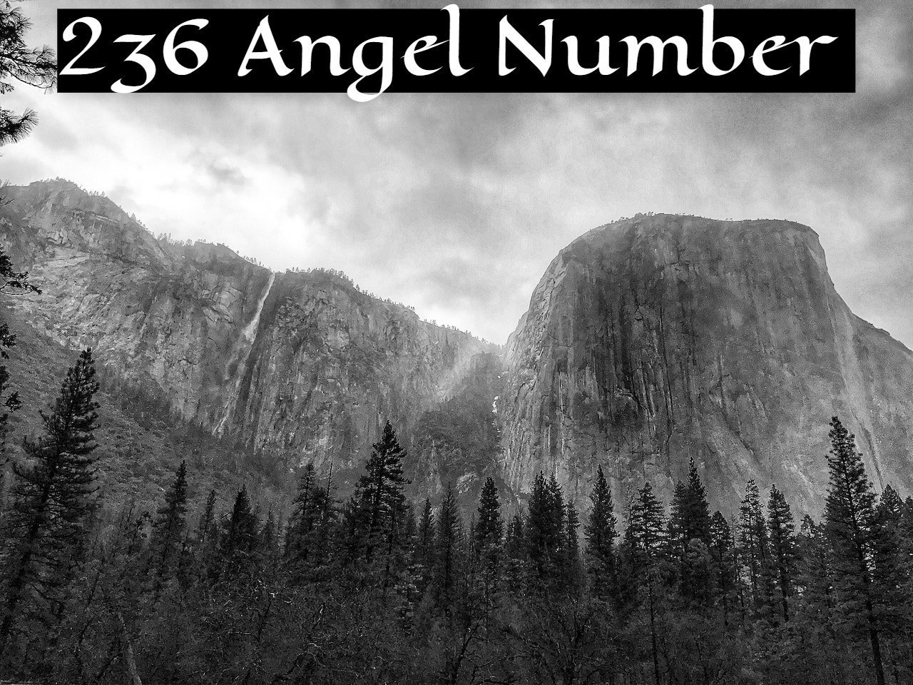 236 Angel Number - Symbolizes Hard Work And Success