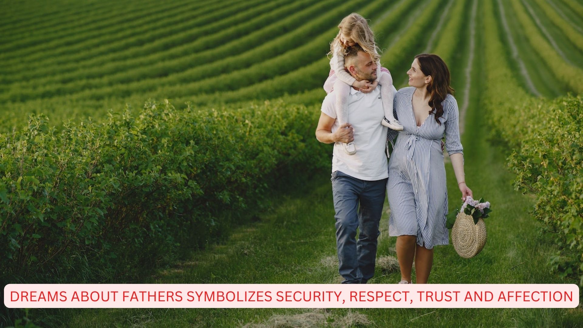 Dreams About Fathers - Symbolizes Security, Respect, Trust, And Affection