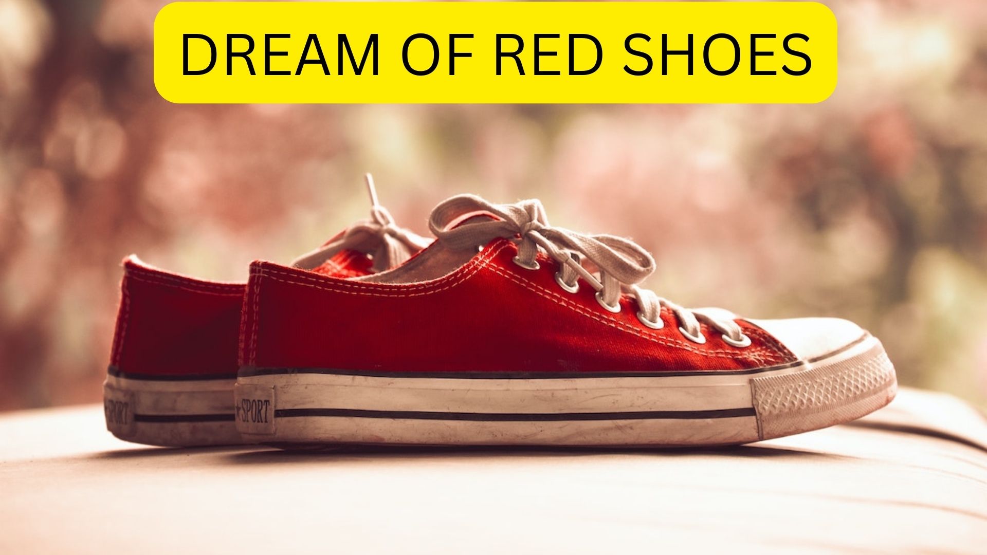 Dream Of Red Shoes - Fix Something In Your Life
