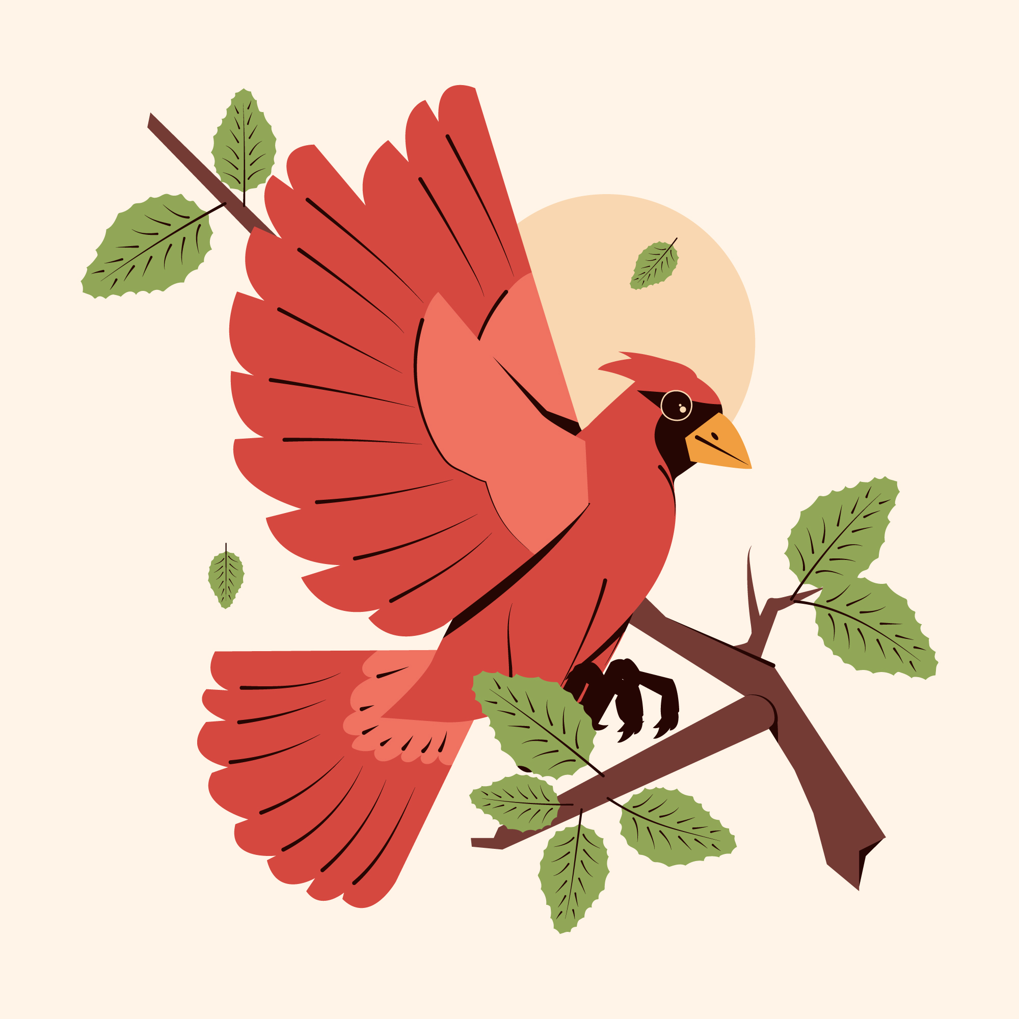 Cardinals Meaning In Spirituality - Why It's Important To Understand