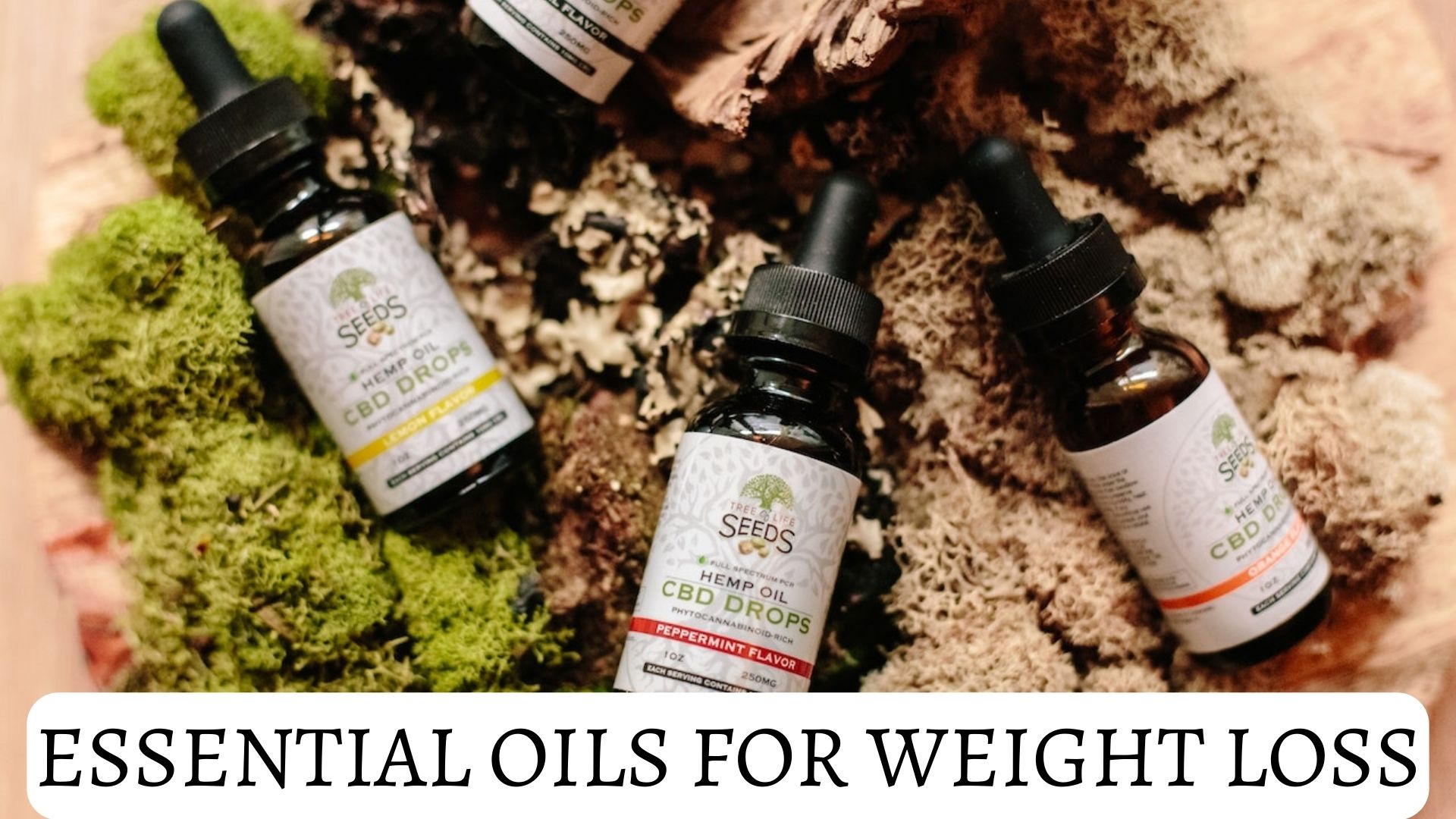 Essential Oils For Weight Loss & Losing Belly Fat