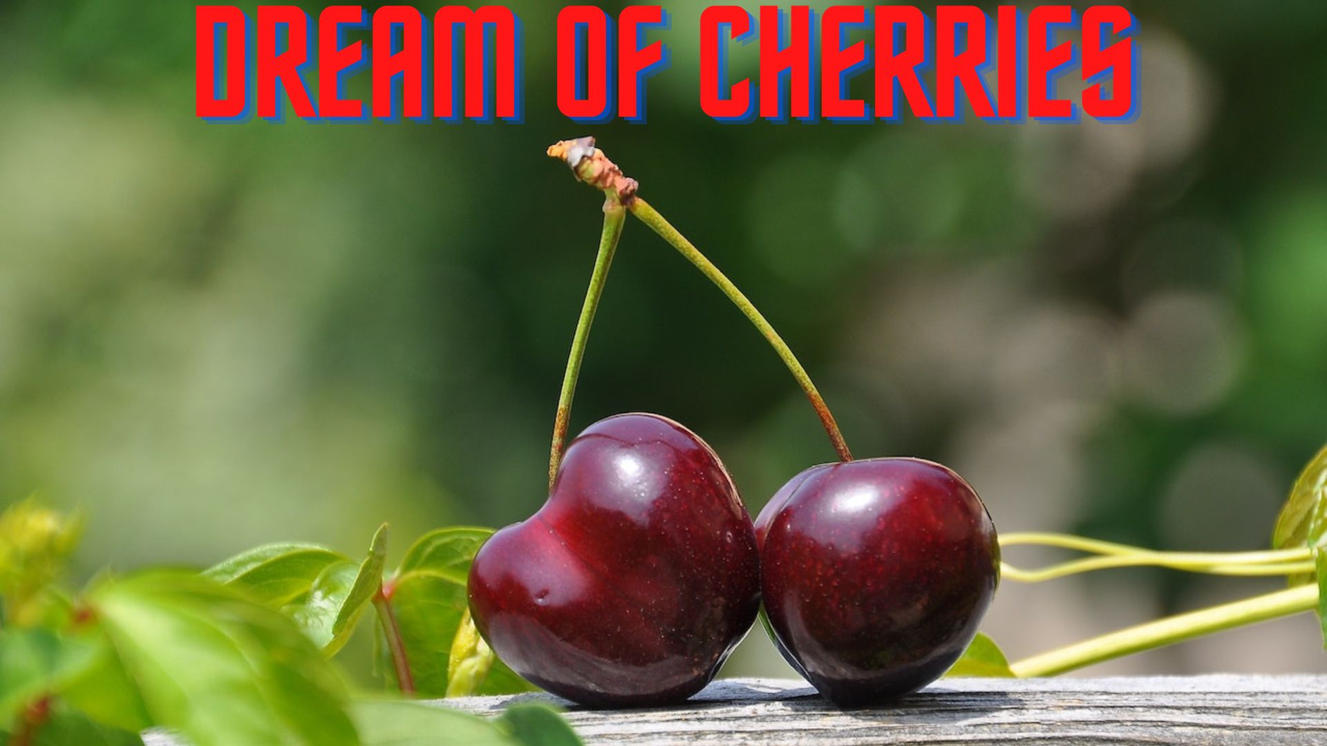 Dream Of Cherries Symbolism - You Will Like Someone At First Sight